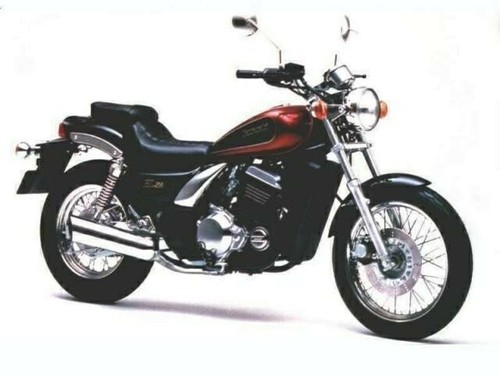 El250 kawasaki breaking