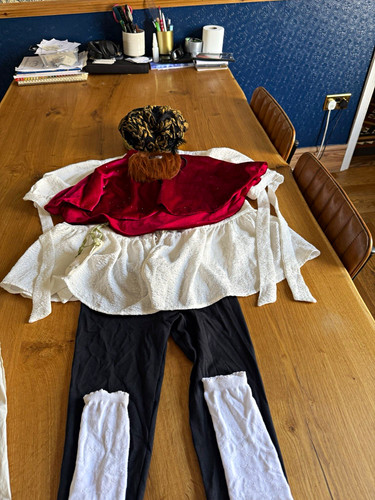 Henry 8th costume children’s