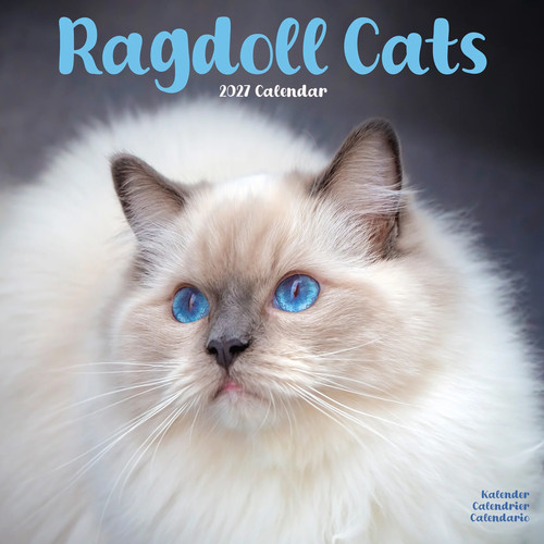 Cats ragdoll 2027 calendar - cats,