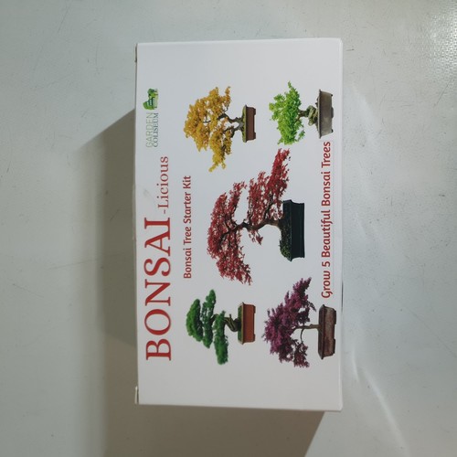 Bonsai tree kit seed - kit,
