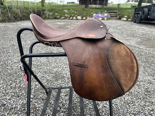 Horse tack all purpose - horse,