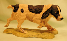 Border Fine Arts English Springer Spaniel by R Ayres 1983 Very Good Condition