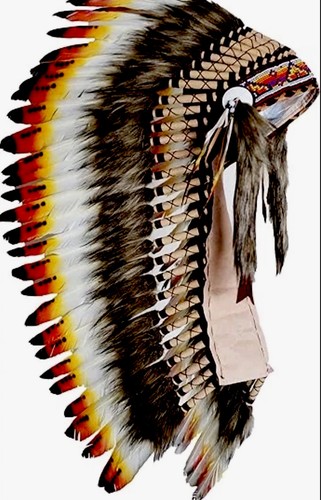 Native american chief - native,