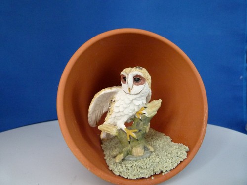 Owl inside plant pot - owl,