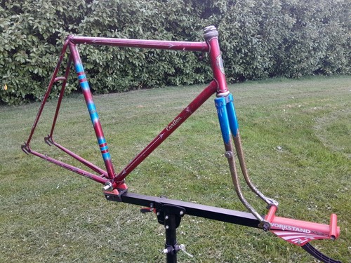 Vintage carlton catalina frame - carlton,