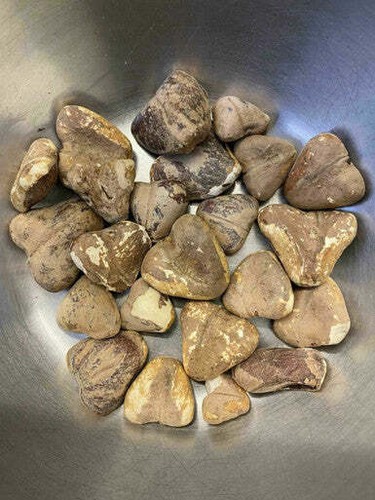 Organic dry singoda 100g - organic,