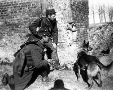 French Soldiers with Trained
