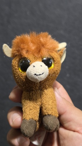 Beanie boo angus bull - angus, plush