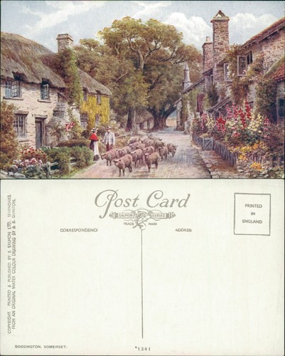 Bossington somerset quinton - somerset,