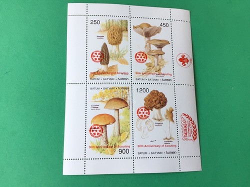 Fungi rotary international - rotary,