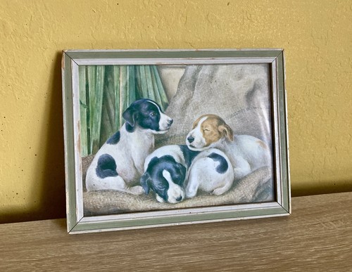 Vintage terrier puppies dog - terrier,