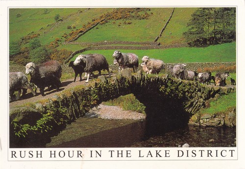Rush hour the lake - hour,