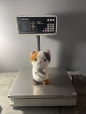 Avery Berkel FX125 Weighing Scale with pole display