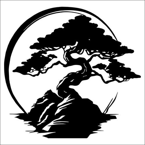Bonsai tree sunset - bonsai,