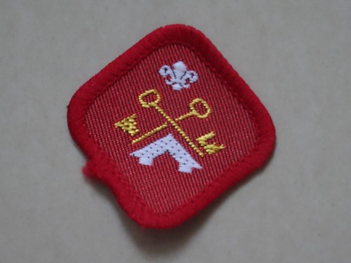 Scout proficiency badge camp - proficiency,