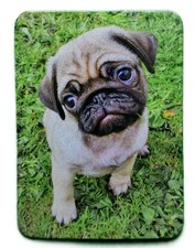Fridge Magnet | Cute Pug Puppy