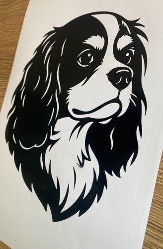 Cavalier king dog decal - 1x,