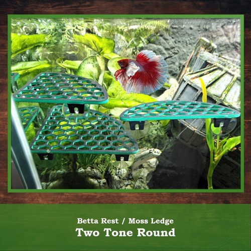 Aquarium shelf plant ledge - shelf,