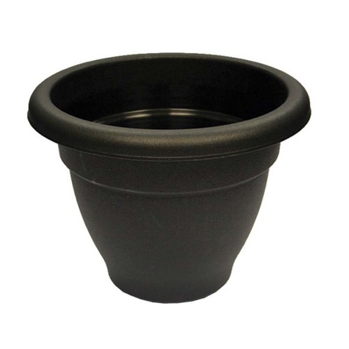 Black round plant - black,