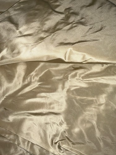 Golden cream 100 silk taffeta - silk,
