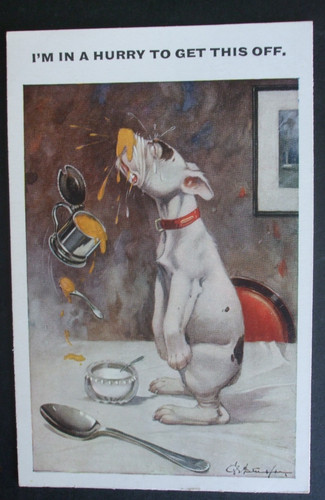 Studdy comic dog with - e,