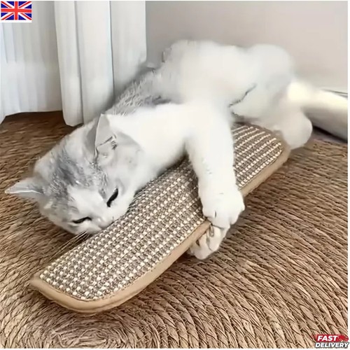 Cat toy pillow - cat,
