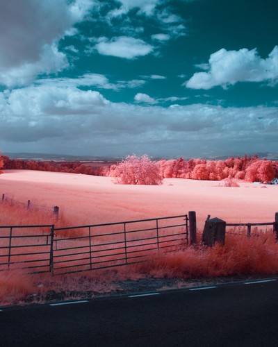 Sony apsc infrared 590nm - infrared,