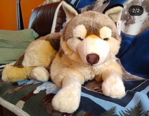 Prime shiba athena - prime, jumbo