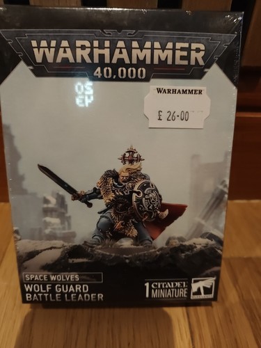 Space wolves wolfguard battle - wolfguard,