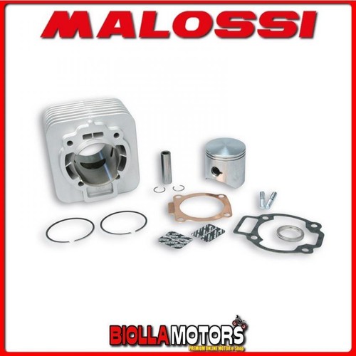 318236 cylinder malossi 172cc - 318236,