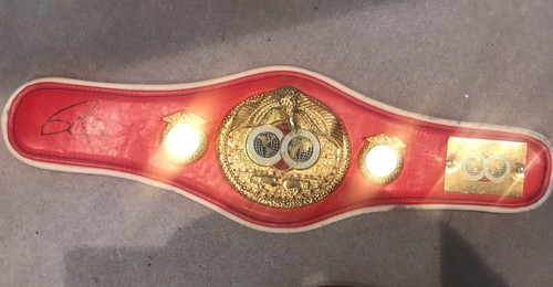Roy jones jnr - jnr, ibf