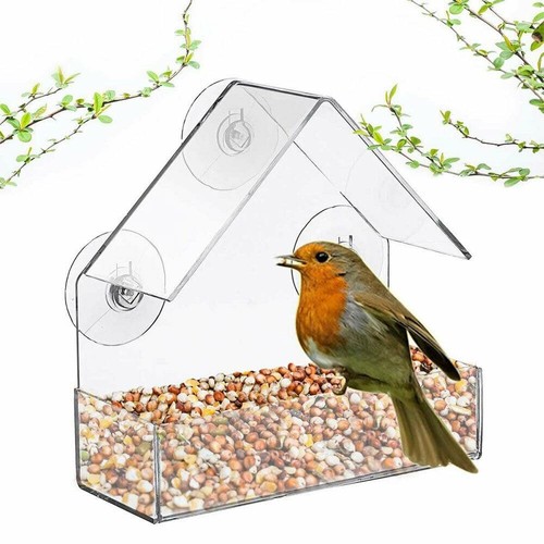 Window wild bird feeder clear - bird,