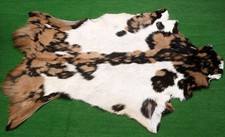 Luxury Goat hide Rug Hair on