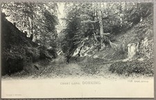 Chart Lane Dorking Lloyd