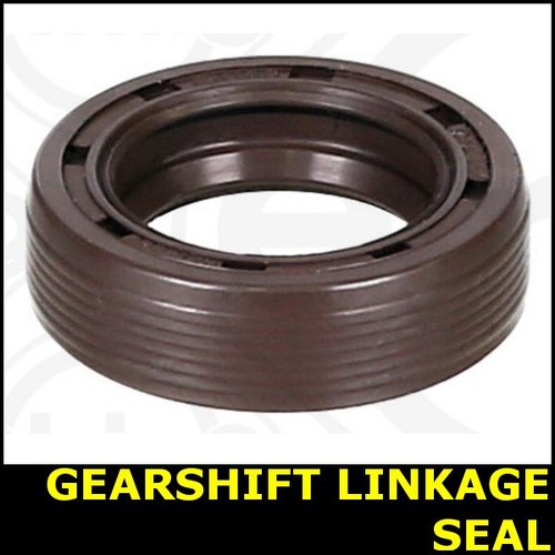 Gearbox selector shaft oil - shaft,