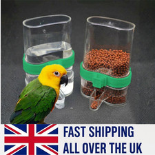Bird water drinker - water,