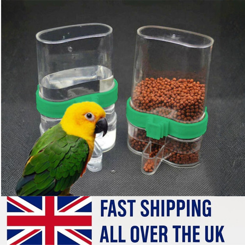 Bird water drinker feeder - bird,