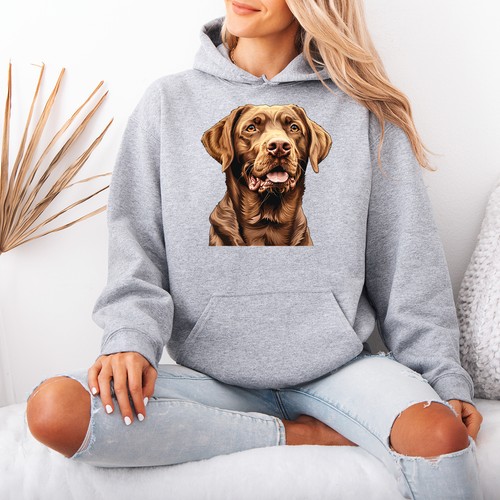 Chocolate labrador retriever - chocolate,