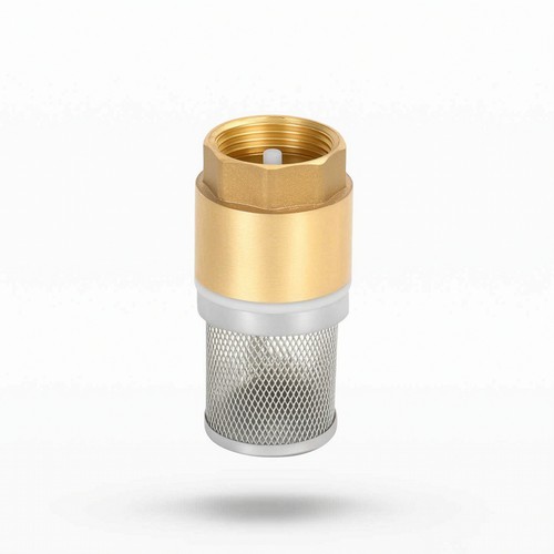 Foot valve with - valve,