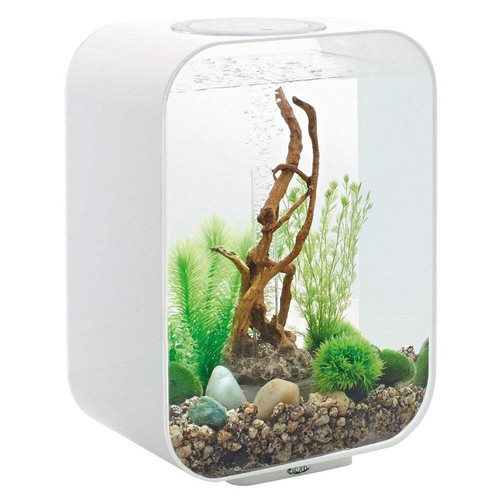 Biorb life aquarium fish - 15,
