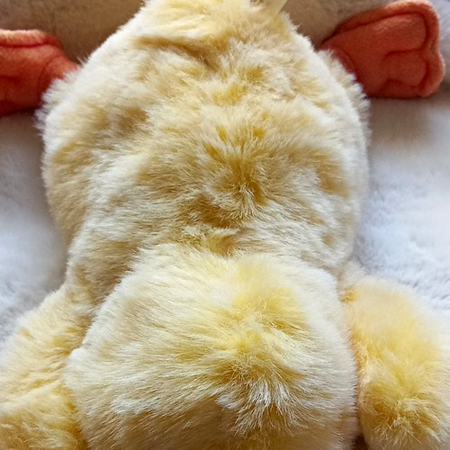 Hotty blenfield toys plush - toys,