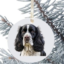 Springer Spaniel Dog Hanging