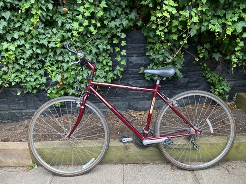Ridgeback adventure 503cs - ridgeback,