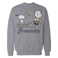 Peanuts Snoopy Charlie Brown