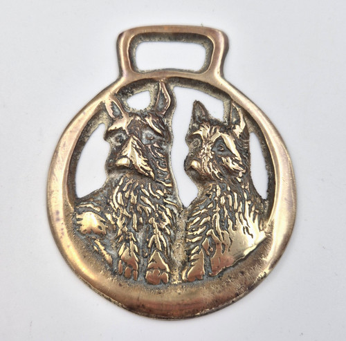 Scottish terrier scottie dogs - scottish,