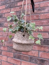 Anthropologie Hanging Clay Rattan Effect Plant Pot With Jute Ropes RRP49