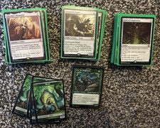 Fynn, the Fangbearer -