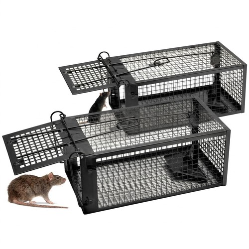 Techspace rat and squirrel - techspace,