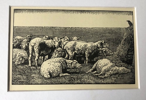 Vintage wood engraving print - ,
