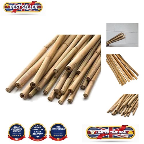 Versatile bamboo support canes - bamboo,